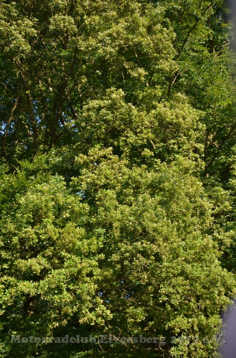 MCE Sommertreffen 2013 - 063.JPG